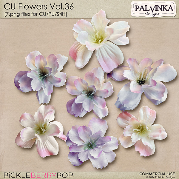 CU Flowers 36