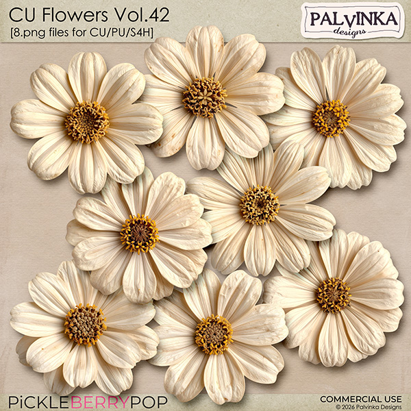 CU Flowers 42