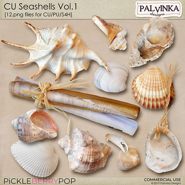 CU Seashells Vol.1