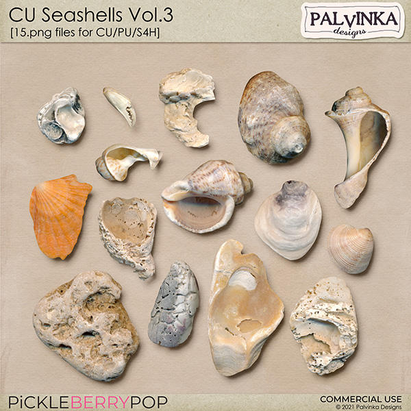 CU Seashells Vol.3