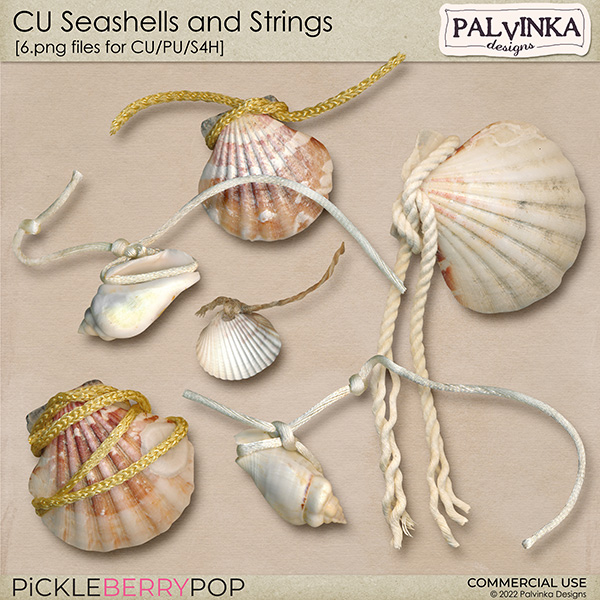 CU Seashells and Strings