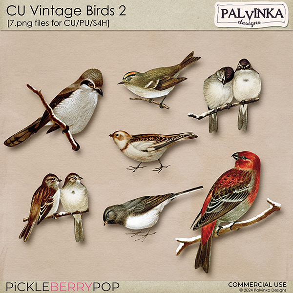 CU Vintage Birds 2