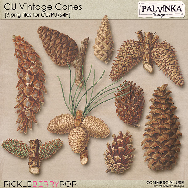 CU Vintage Cones