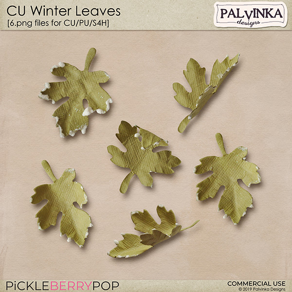 CU Winter Leaves