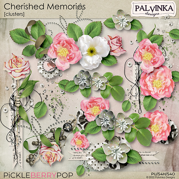 Cherished Memories Clusters