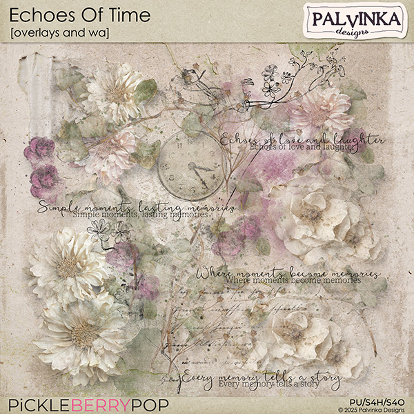 Echoes Of Time Overlays and WA