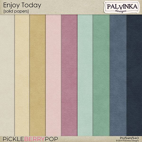 https://pickleberrypop.com/shop/Enjoy-Today-Solid-Papers.html