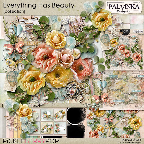 Everything Has Beauty Collection