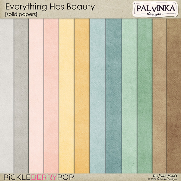 Everything Has Beauty Solid Papers