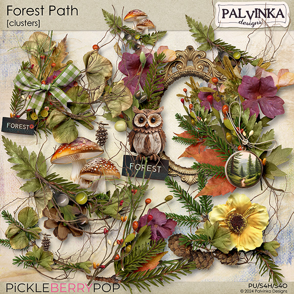 Forest Path Clusters