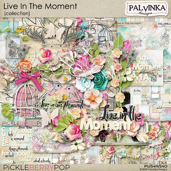 Live In The Moment Collection