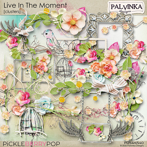 Live In The Moment Clusters