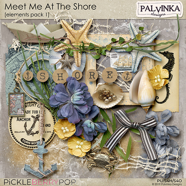 https://pickleberrypop.com/shop/Meet-Me-At-The-Shore-Elements-pack-1.html