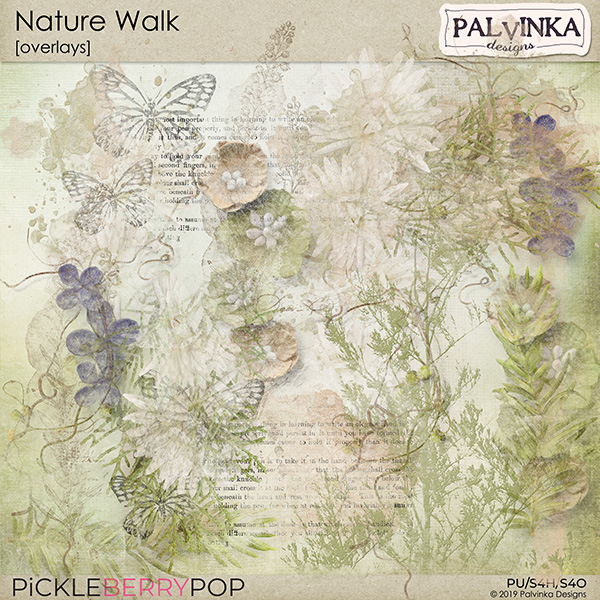 Nature Walk Overlays