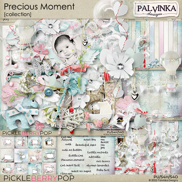 Precious Moment Collection