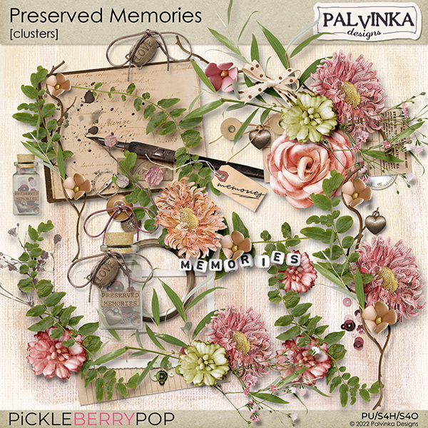 Preserved Memories Clusters