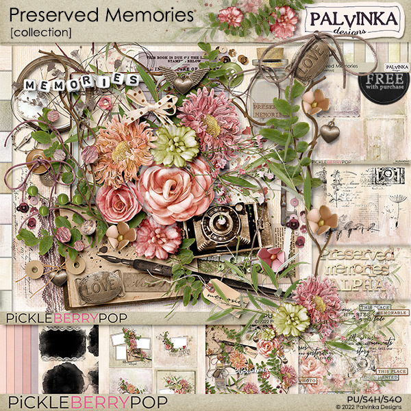 Preserved Memories: Collection