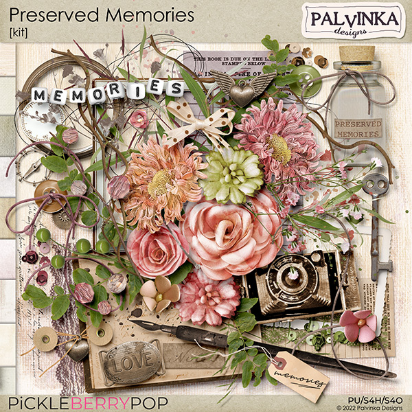 Preserved Memories Kit