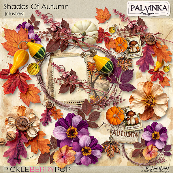 Shades Of Autumn Clusters