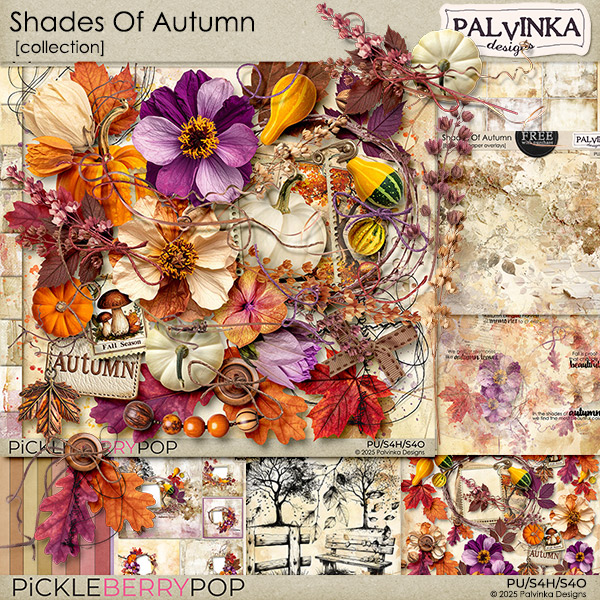 Shades Of Autumn Collection