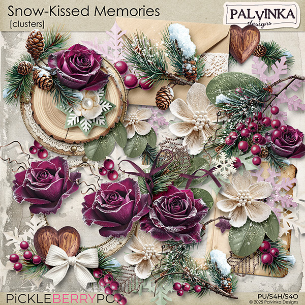 Snow-Kissed Memories Clusters