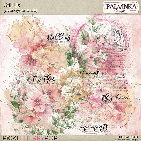 Still Us Overlays and WA