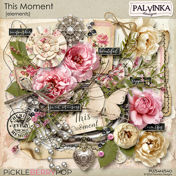 This Moment Elements