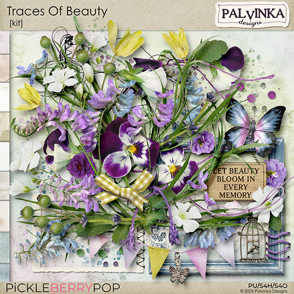 Traces Of Beauty Kit