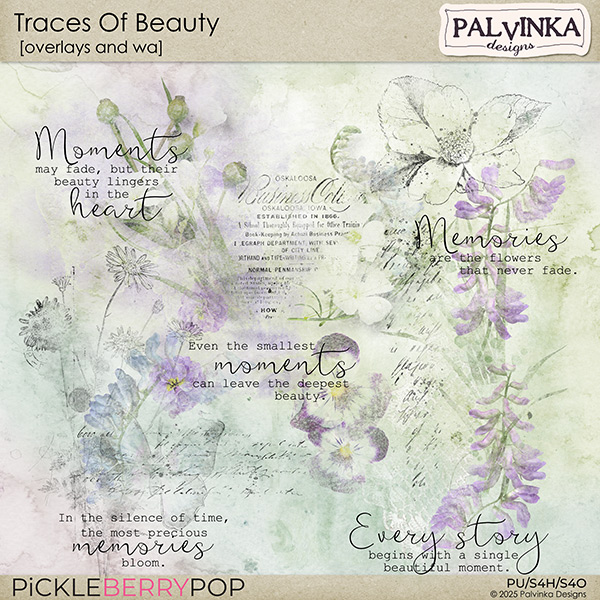 Traces Of Beauty Overlays and WA