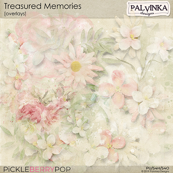 https://pickleberrypop.com/shop/Treasured-Memories-Overlays.html