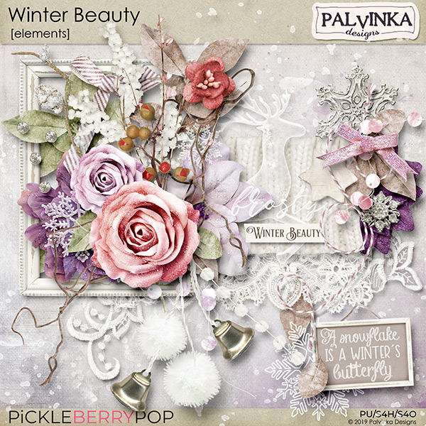 Winter Beauty Elements