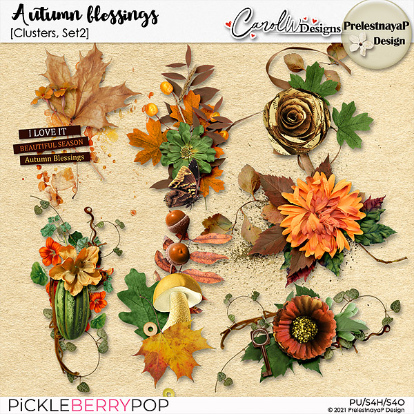 Autumn blessings Clusters Set2-PrelestnayaP Design and CarolW Designs