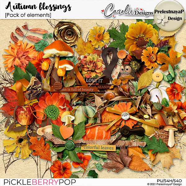 Autumn blessings Pack of elements-PrelestnayaP Design and CarolW Designs