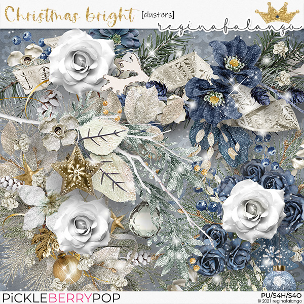 CHRISTMAS BRIGHT CLUSTERS