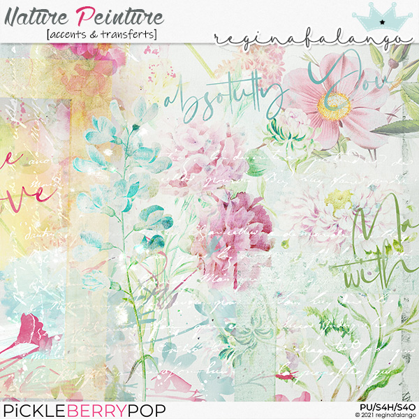 NATURE PEINTURE ACCENTS & TRANSFERS