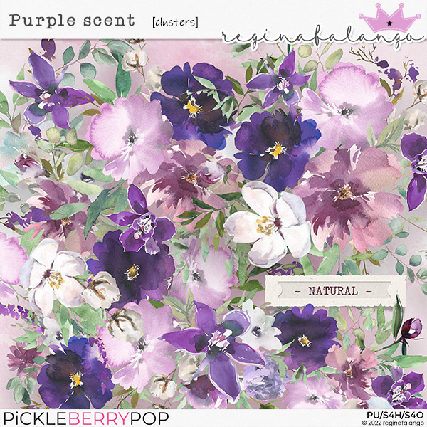 PURPLE SCENT CLUSTERS