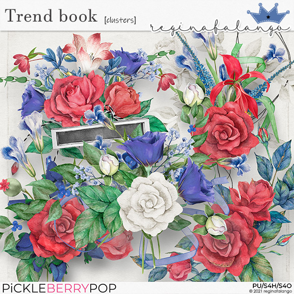 TREND BOOK CLUSTERS