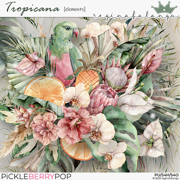 TROPICANA ELEMENTS