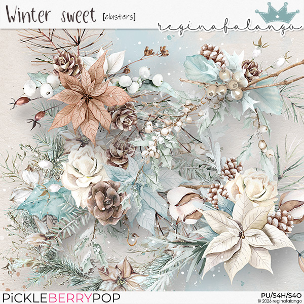 WINTER SWEET CLUSTERS