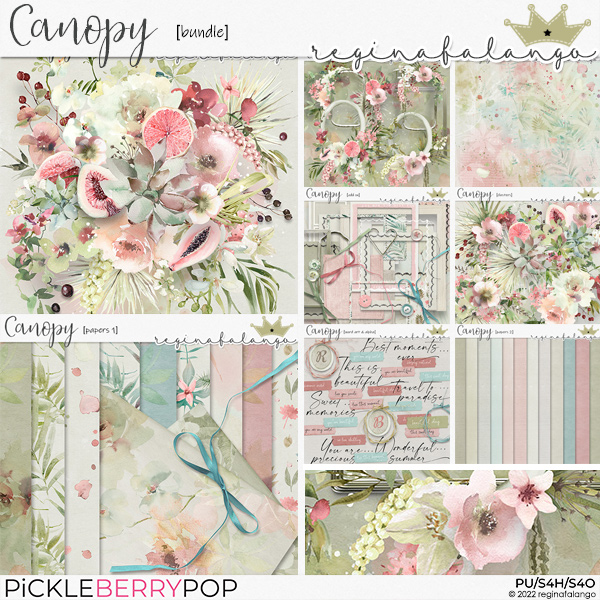 CANOPY BUNDLE