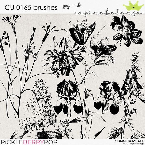 CU 0165 BRUSHES 