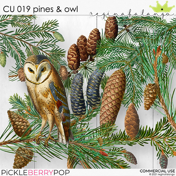 CU 019 PINES AND OWL