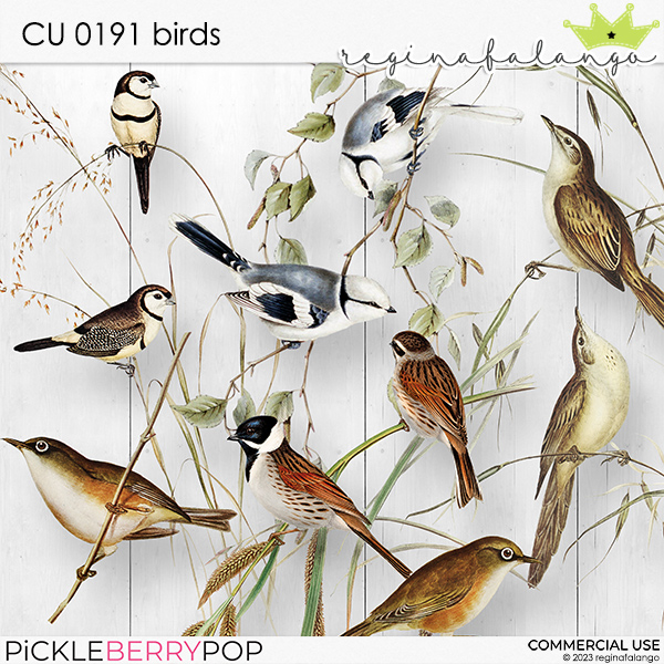 CU 0191 BIRDS