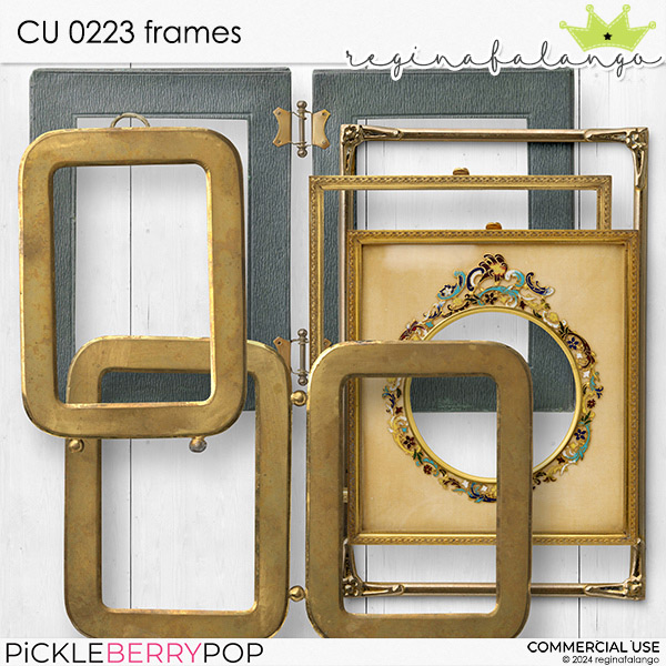 CU 0223 FRAMES