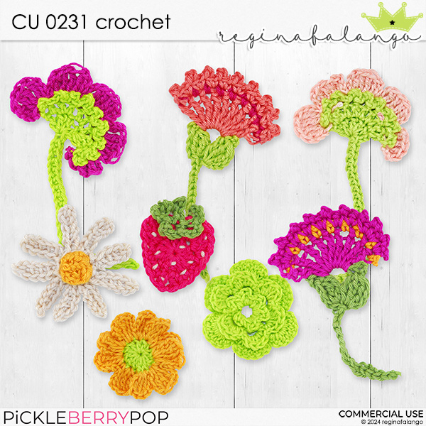 CU 0231 CROCHET