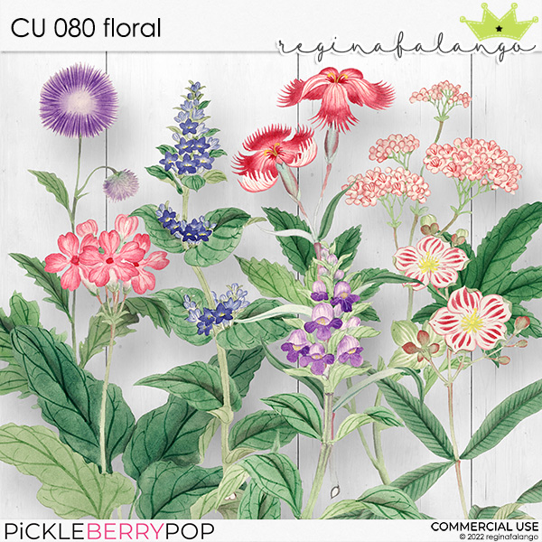 CU 080 FLORAL 