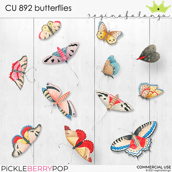 CU 892 BUTTERFLIES