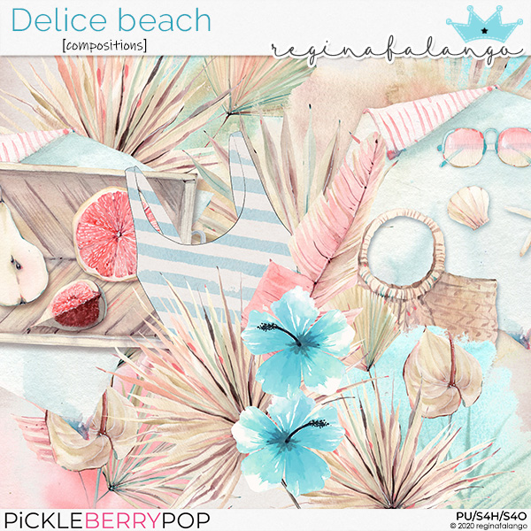 DELICE BEACH COMPOSITIONS