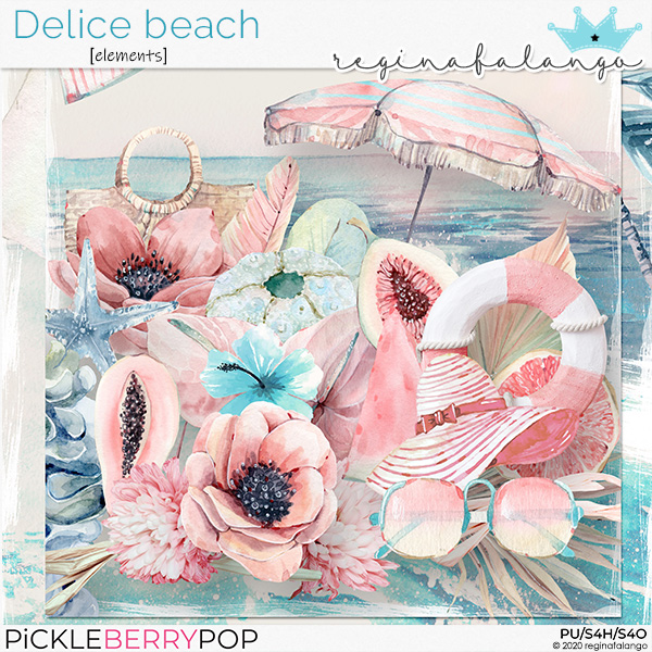 DELICE BEACH ELEMENTS