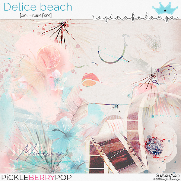 DELICE BEACH ART TRANSFERTS